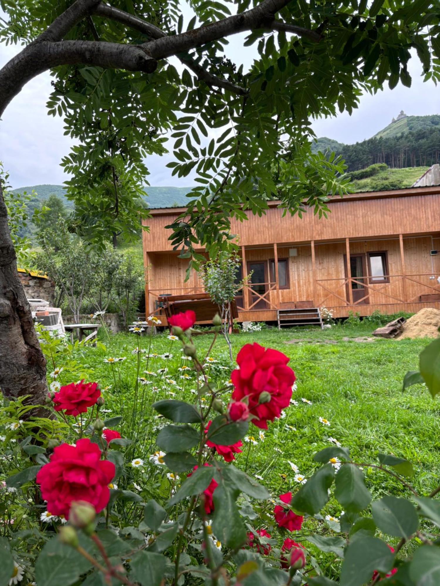 Family Hostel Nika Kazbegi Exterior photo